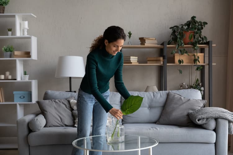 Should I consider refinancing my home? featured image